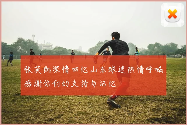 张英凯深情回忆山东球迷热情呼喊感谢你们的支持与记忆